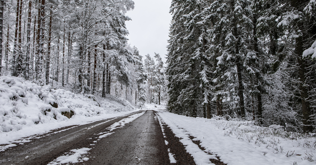 En snöig väg mitt i en skog.