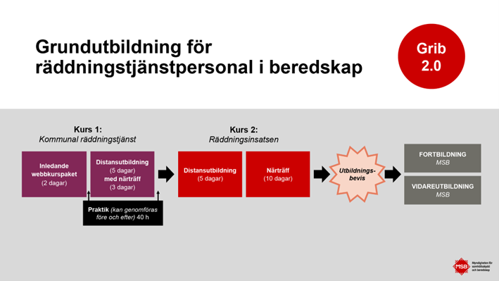 Skiss som visar utbildningens faser.