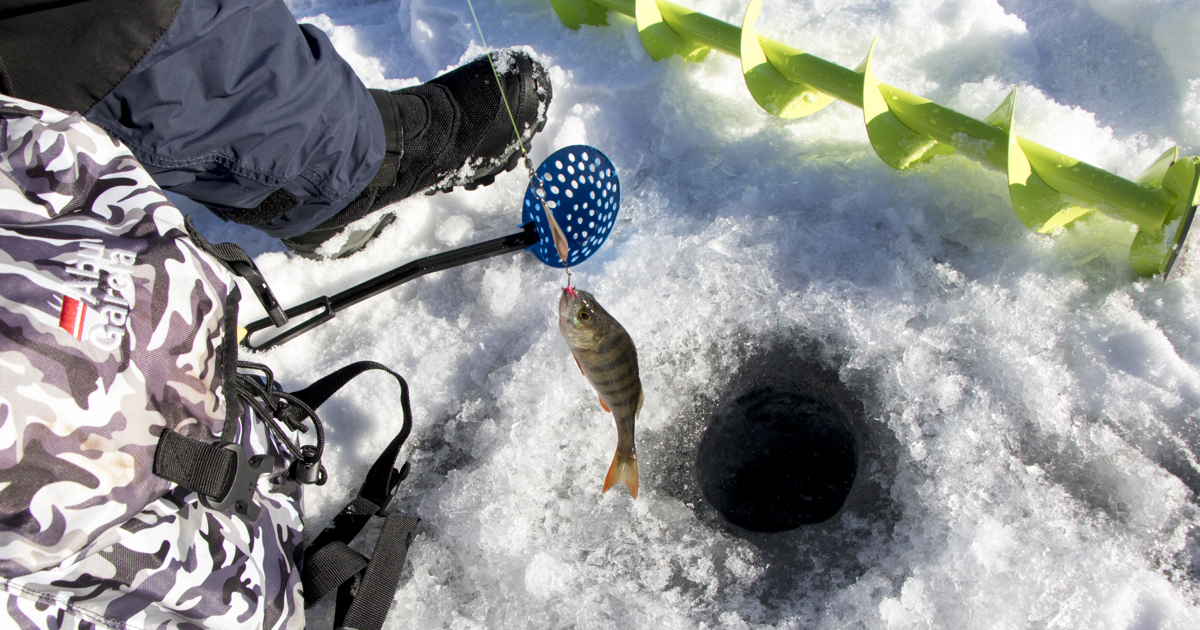 En person som står i snön med en fisk.